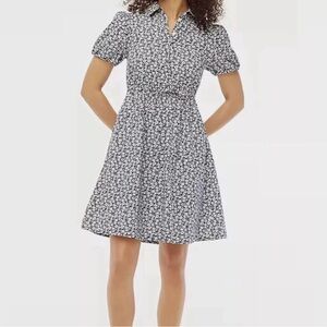 J. Crew Blue and White Pleated Midi Dress